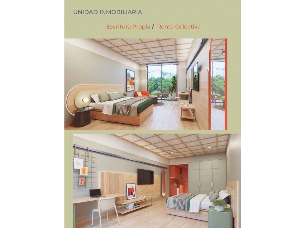 PROYECTO ALAMOS- VIVARA COLIVING — foto 4