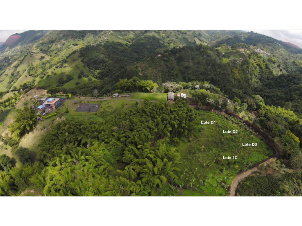LOTES CAMPESTRES EN VENTA VILLA DEL CARMEN, PEREIRA — foto 5