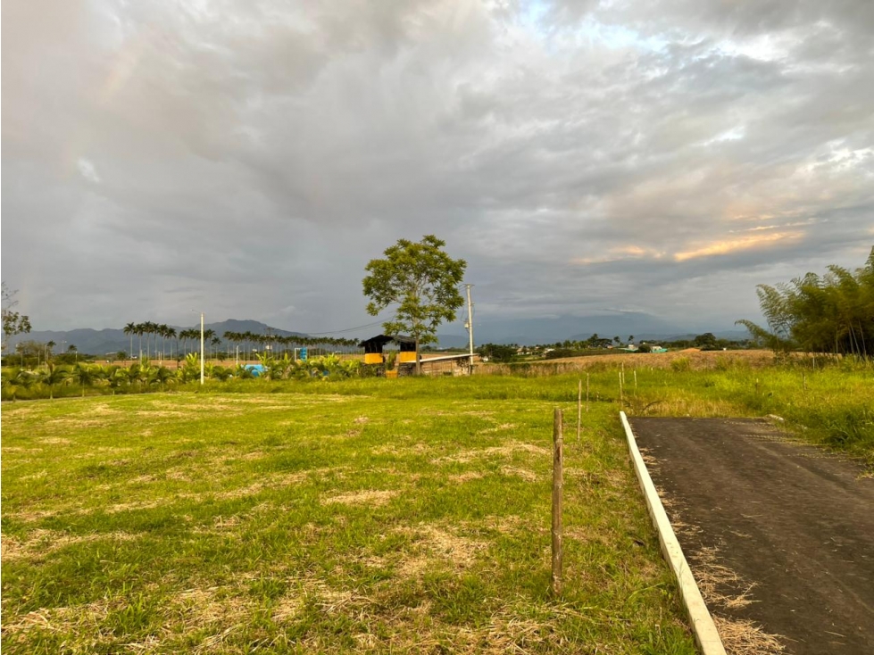 SE VENDE LOTE CAMPESTRE EN EL CERRITOS PEREIRA — foto 2