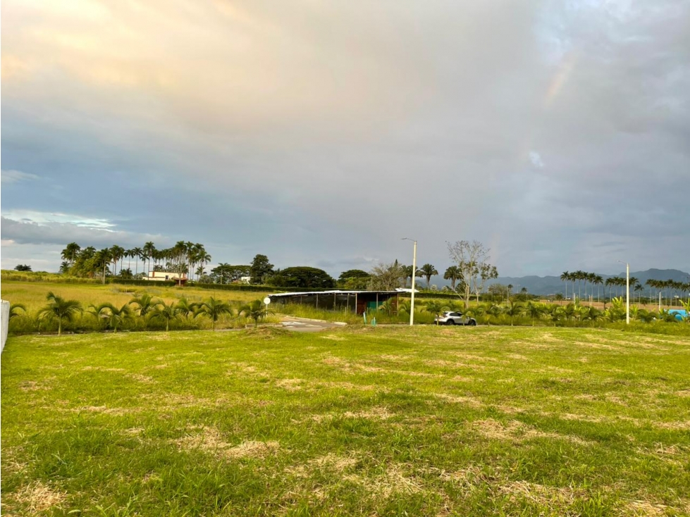 SE VENDE LOTE CAMPESTRE EN EL CERRITOS PEREIRA — foto 3