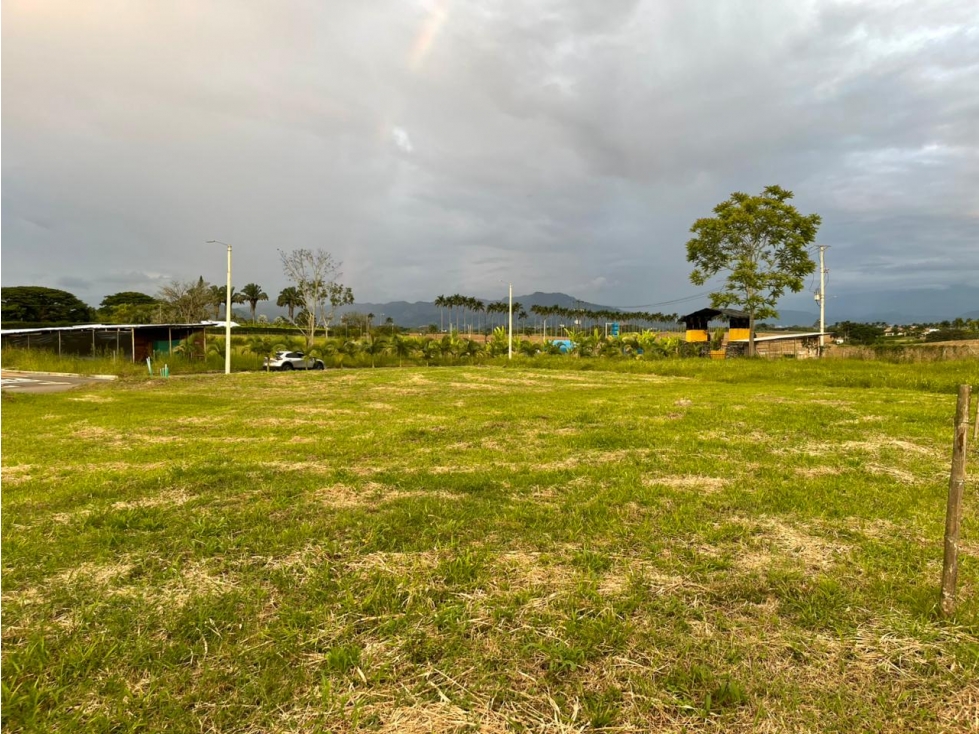 SE VENDE LOTE CAMPESTRE EN EL CERRITOS PEREIRA — foto 4