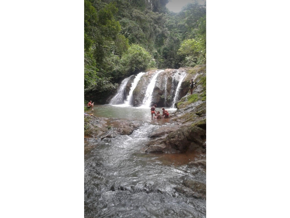 GANGA / COLON / FINCA / BUENA VISTA / 43.5 HECTAREAS / PARA DESARROLLO - 2