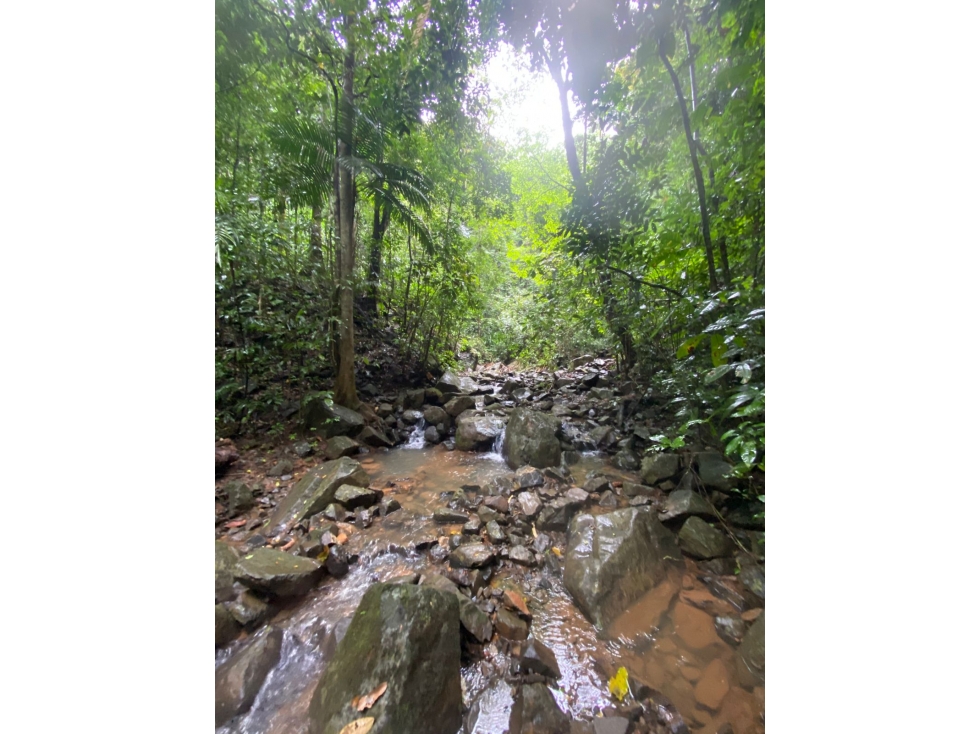 CERRO AZUL / TERRENO / 55 HECATREAS / BOSQUE / RIO / QUEBRADAS — foto 4