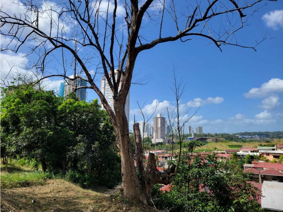 TERRENO / EL BOSQUE / 1277M / IDEAL PARA PROYECTO DE RESIDENCIA JC - 2