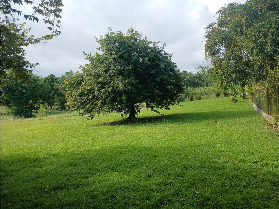 TERRENO / EL HIGO SAN CARLOS /1516M / GAZEBO DE CEMENTO — foto 4