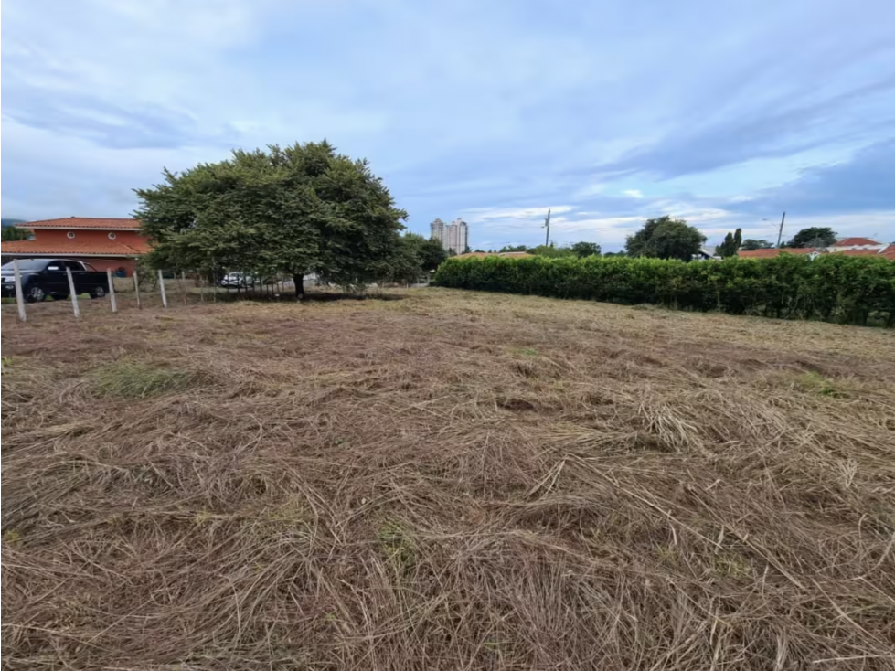 CORONADO / PLAYA SERENA / 1412M / TOTALMENTE PLANO / EN ESQUINA — foto 2