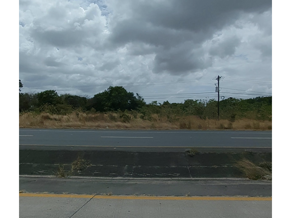 COCLE / NATA / EL ROBLAR / TERRENO 1.6 HECTAREA / SOBRE INTERAMERICANA - 3
