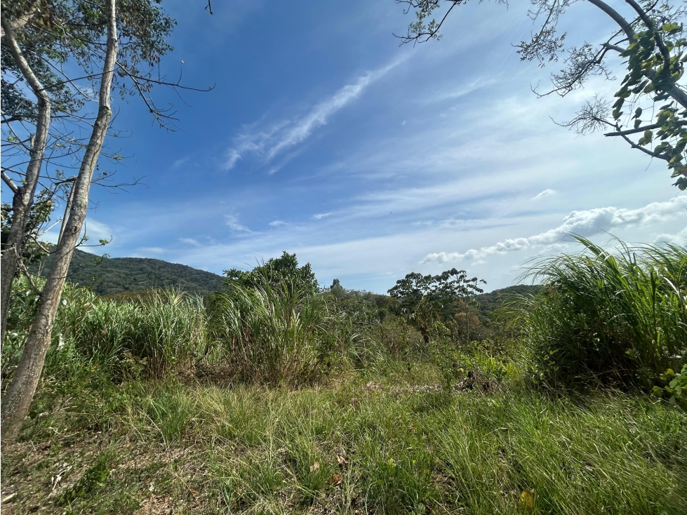 TERRENO / ARRAIJAN / BIQUE / 3 HECTAREAS / POZO DE AGUA