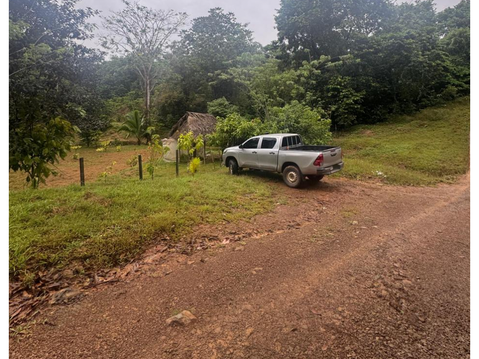 SE VENDE FINCA EN COCLE LA PINTADA 17 HECTAREAS FRENTE AL RIO - 1