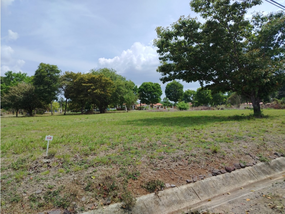 SE VENDE TERRENO PLANO 1000 M2 EN CHAME LA COLONIA CON ZONAS VERDES