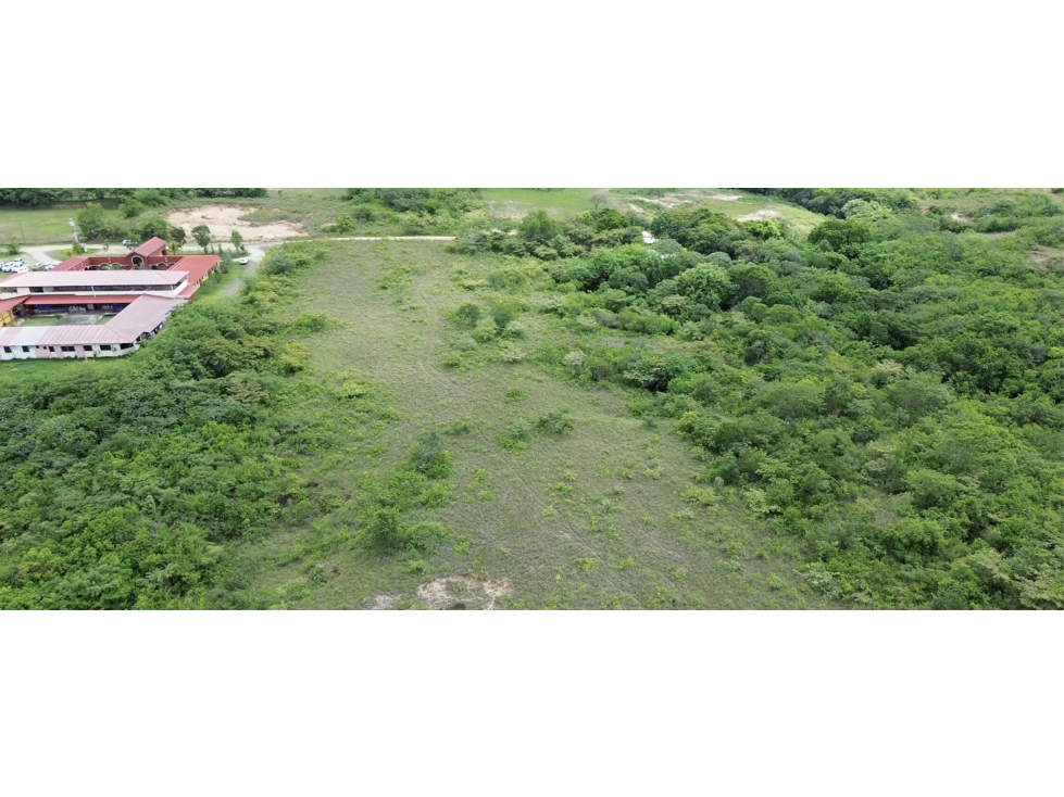 SE VENDE TERRENO 7.9 HECTAREAS EN PENONOME MIRAFLORES CON CASA - 6