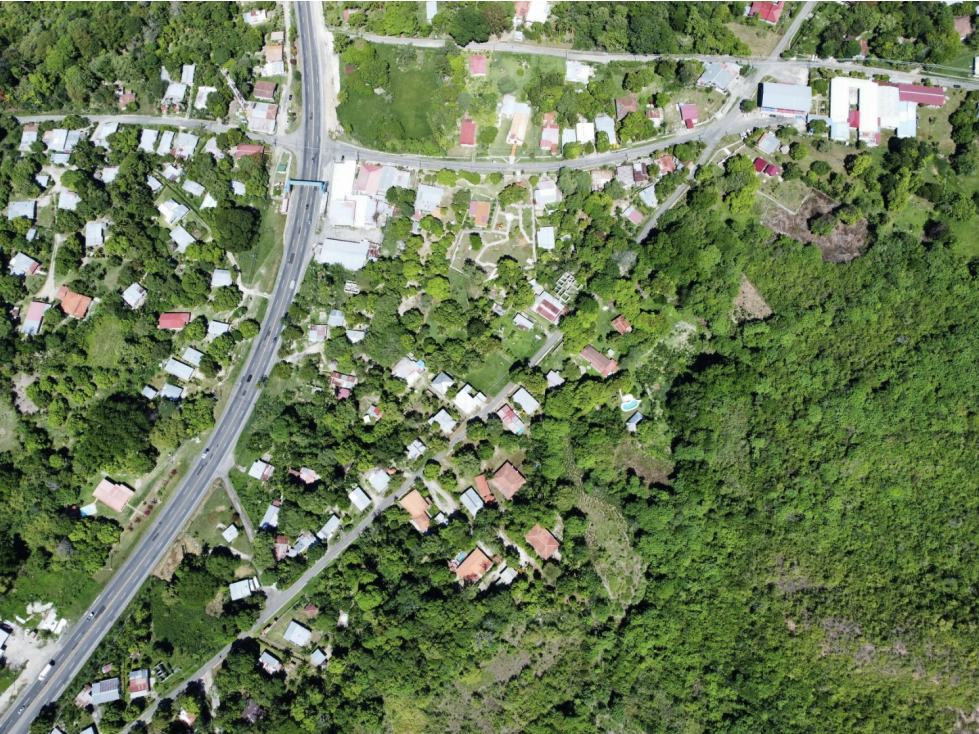 SAN CARLOS / EL HIGO / 2.1 HECTAREAS / TERRENO / ZONAS VERDES - 1