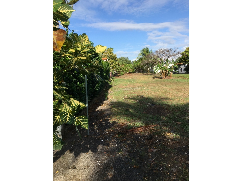 TERRENO / CORONADO / 800 M2 / AREA RESIDENCIAL / LOTE PLANO — foto 5