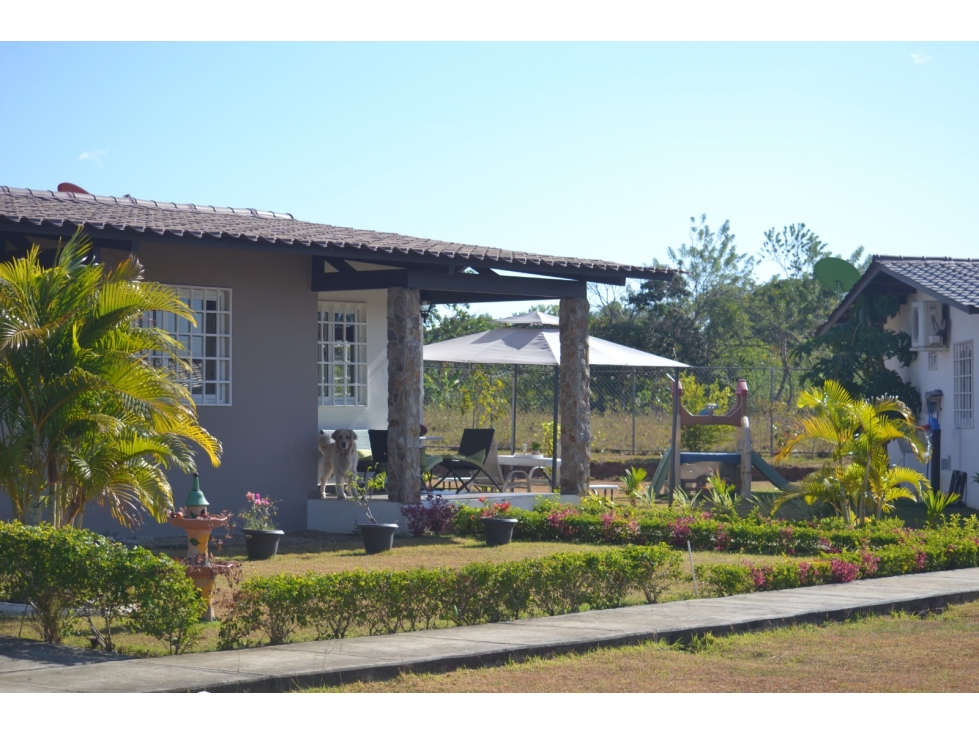 PENONOME / LLANO GRANDE / PH MAJA / 300M2 / 2 HABITACION - 2