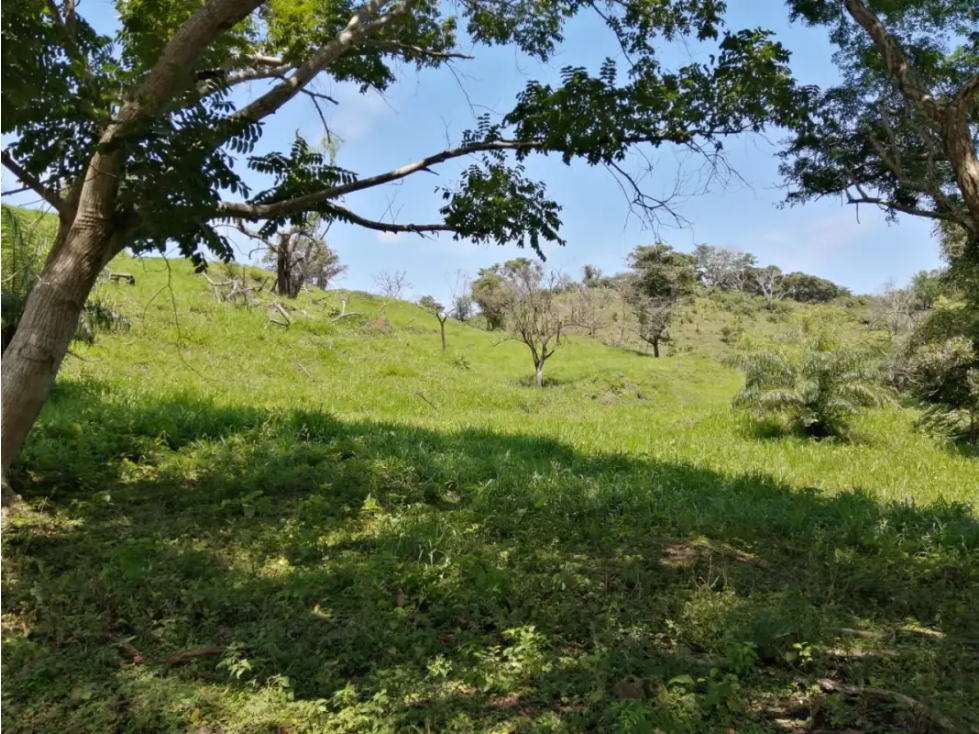 CAPIRA / CERMEÑO / FINCA / 88 HECTAREAS / 5 LAGOS - 5