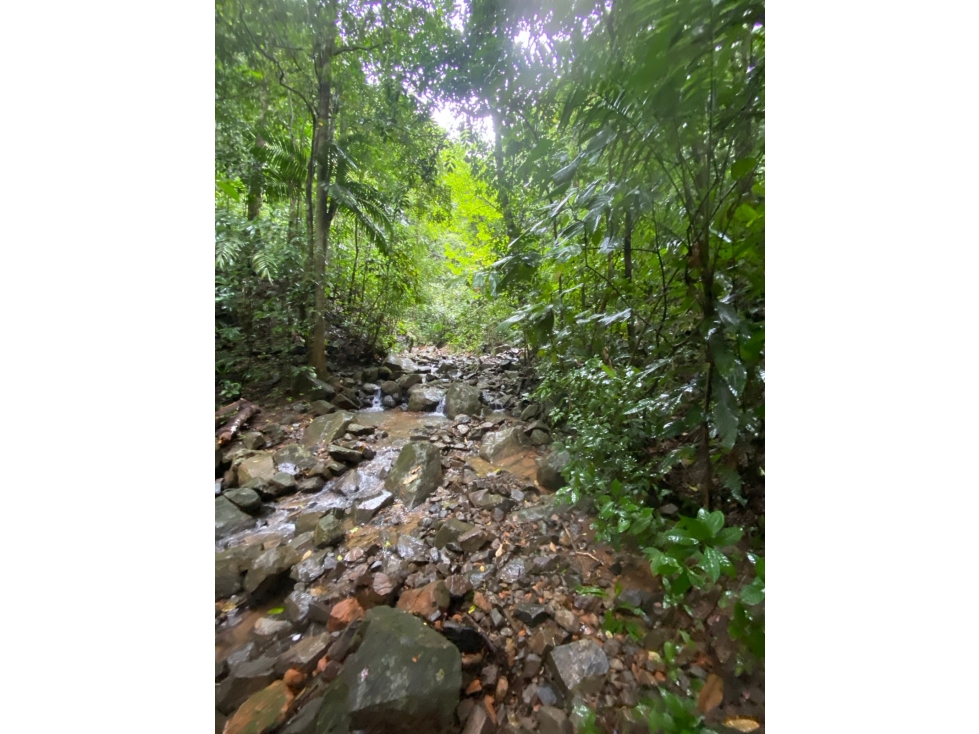 CERRO AZUL / TERRENO / 55 HECATREAS / BOSQUE / RIO / QUEBRADAS — foto 5