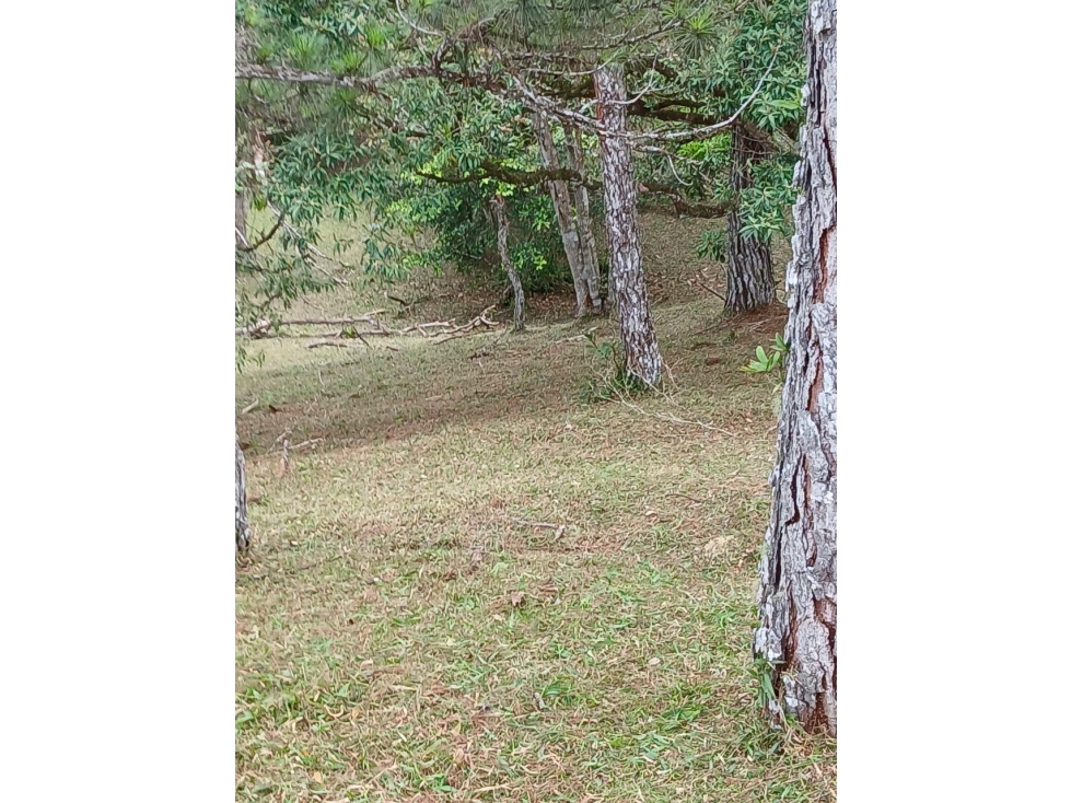 TERRENO / ALTOS DEL MARIA / PIAMONTE / 2432 M / PUNTO ALTO — foto 5