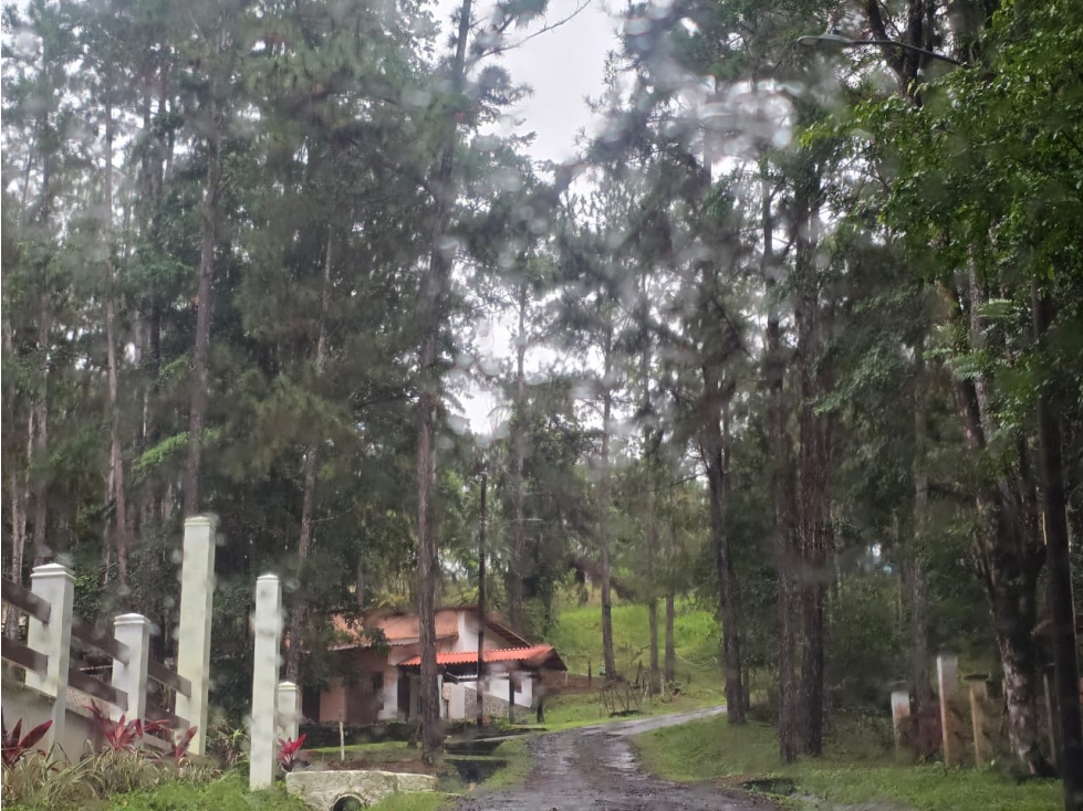 CERRO AZUL / TERRENO SEMI PLANO / 1218M / CLIMA FRIO / FRENTE A VIA — foto 2