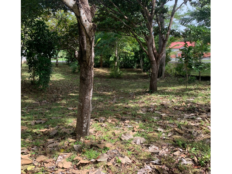 SAN CARLOS / RIO MAR / 1500M / TERRENO PLANO / CERCA DE PLAYA AG — foto 4
