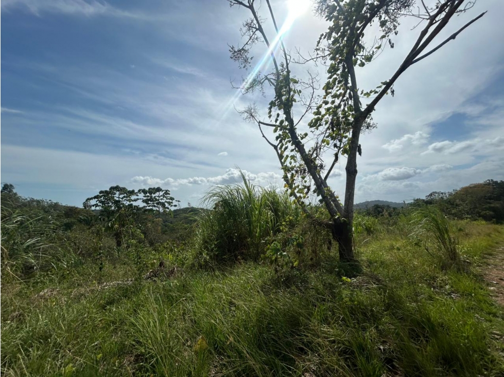 TERRENO / ARRAIJAN / BIQUE / 3 HECTAREAS / POZO DE AGUA — foto 3
