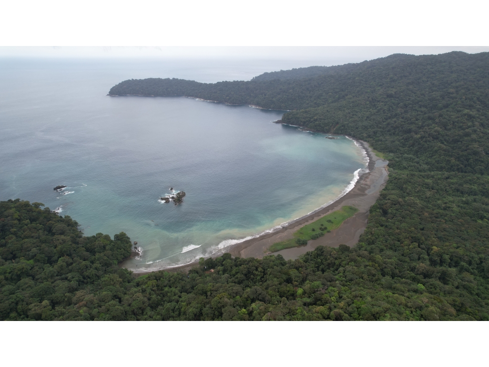 DARIEN / BAHIA PIÑA / 820 HECTAREAS / ISLA TOTALMENTE VIRGEN / AG - 2