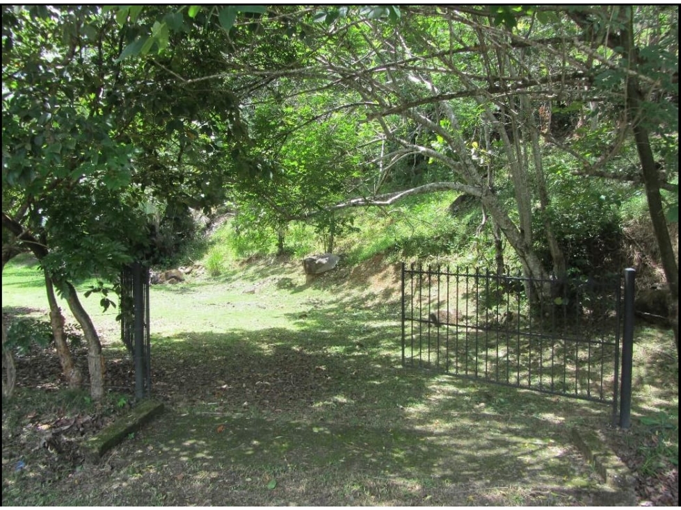 COCLE / LAS MINAS / 2 HABITACIONES / 10705 M2 / ENTORNO NATURAL - 6