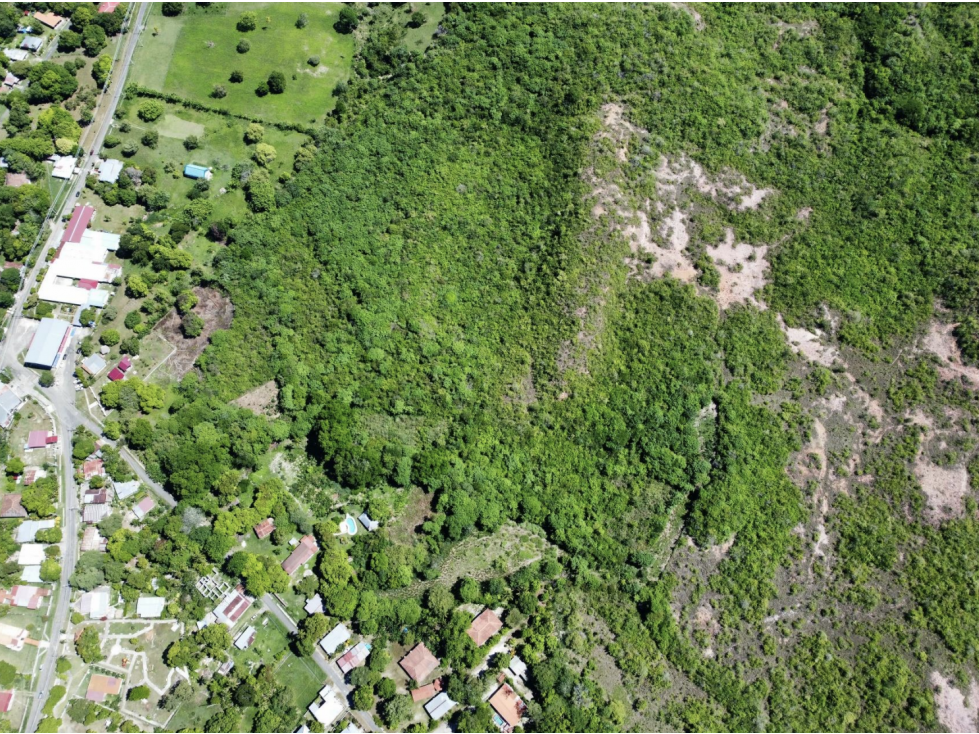 SAN CARLOS / EL HIGO / 2.1 HECTAREAS / TERRENO / ZONAS VERDES - 5