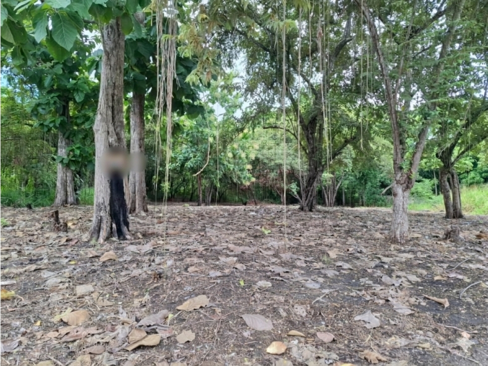 SE VENDE TERRENO 1600M EN SAN CARLOS LAGO MAR CON FACIL ACCESO