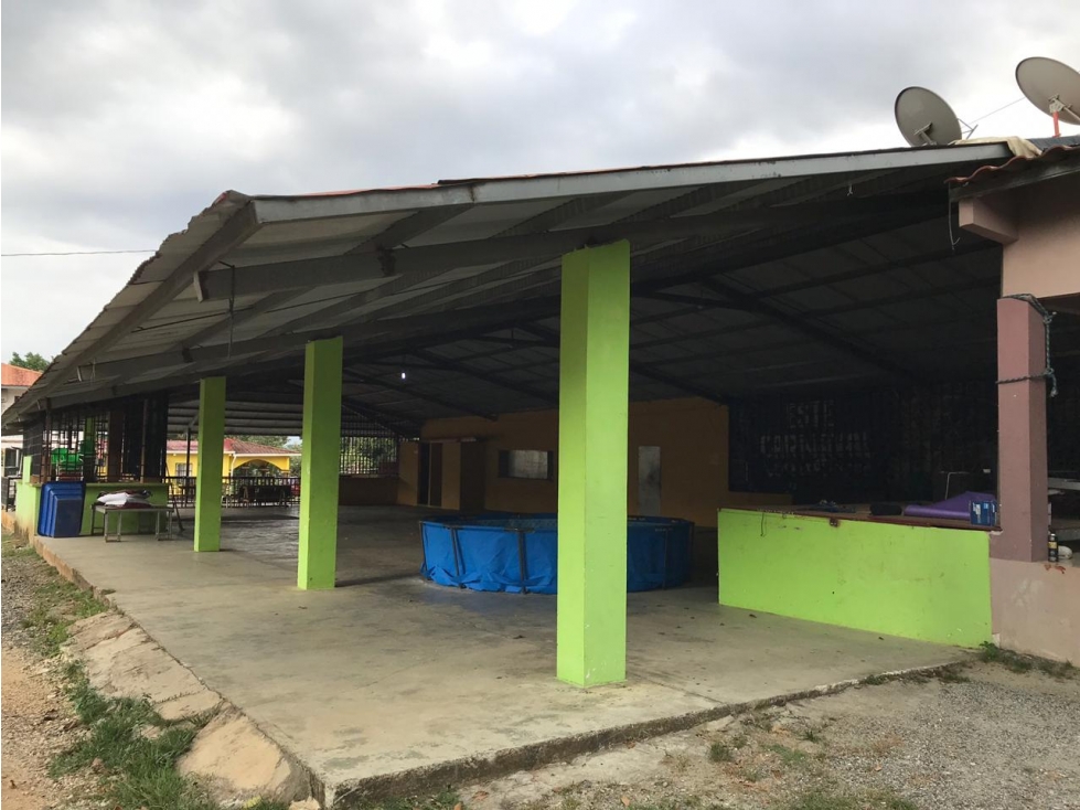 GANGA / COLON / FINCA / BUENA VISTA / 43.5 HECTAREAS / PARA DESARROLLO - 5