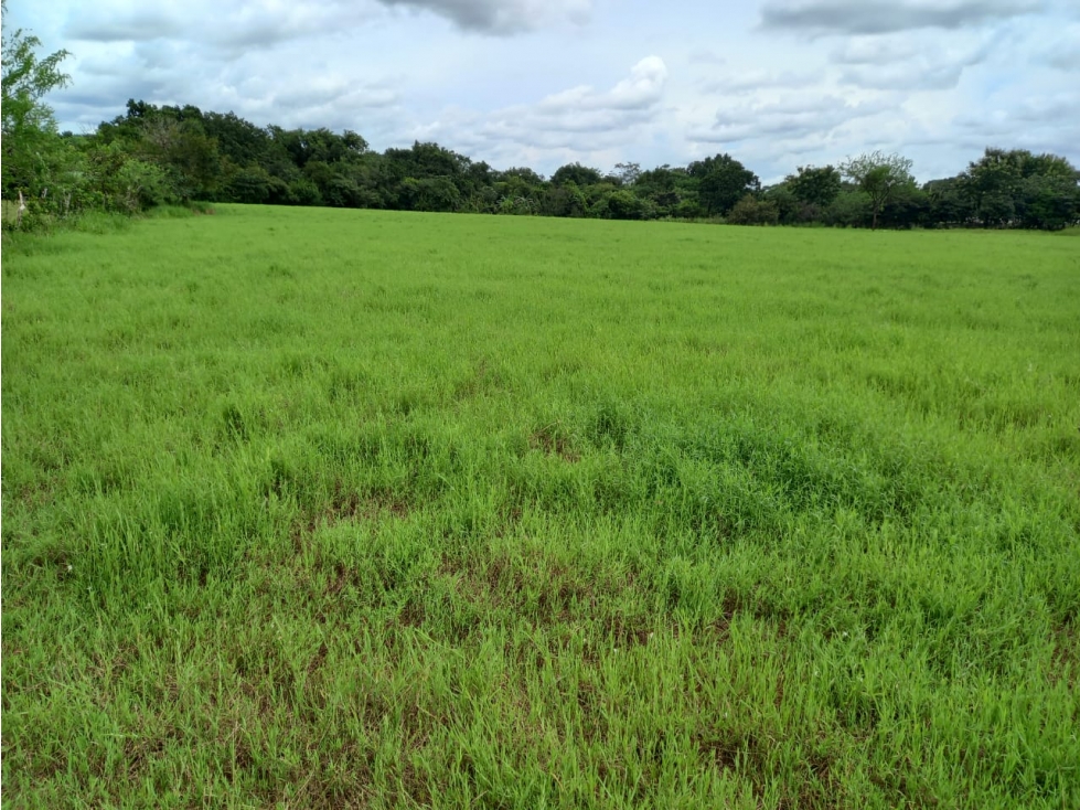 SE VENDE TERRENO COMERCIAL EN LA MESA DE VERAGUAS VIA INTERAMERICANA - 3