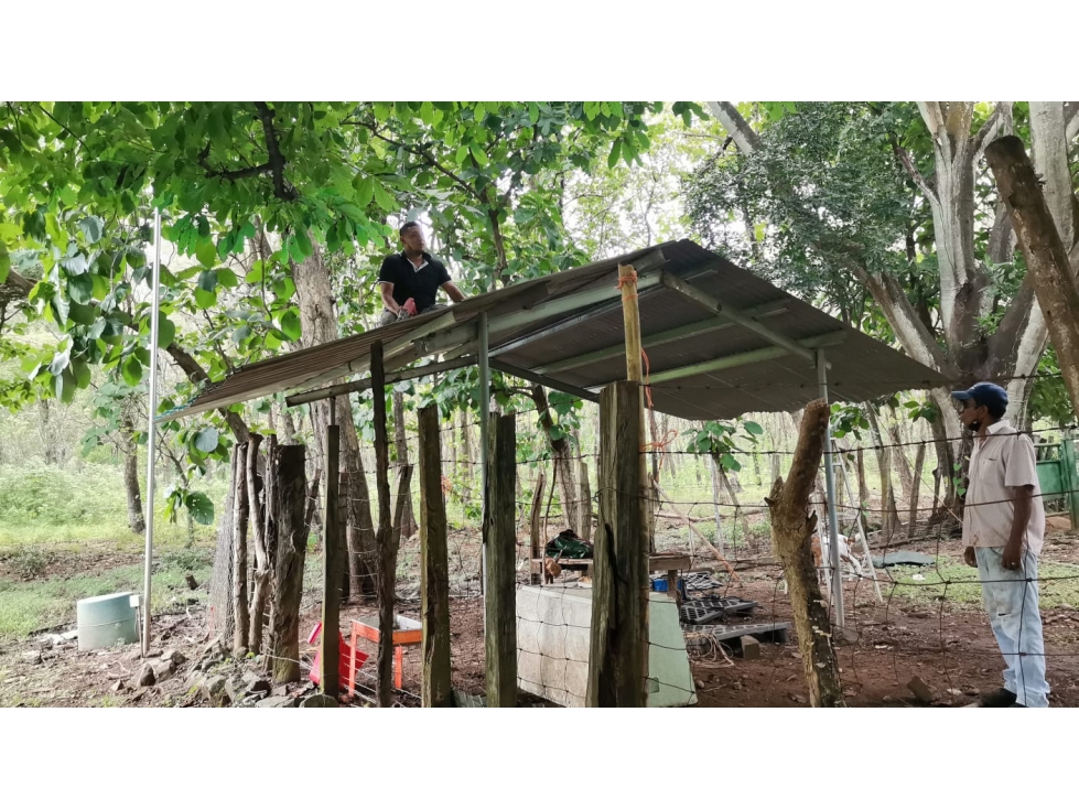 CHAME / FINCA EN BEJUCO / 10 HECTAREAS / CERCA DE LA INTERAMERICANA — foto 6