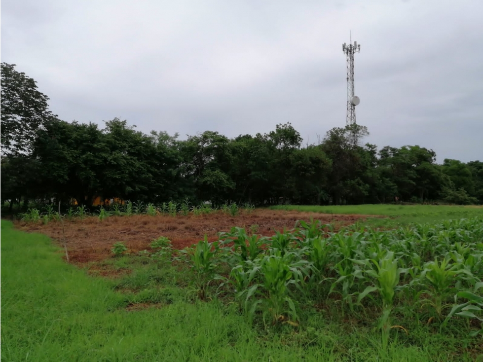 SE VENDE TERRENO 37,789M EN CORONADO BOULEVARD CON 3 FINCAS - 5