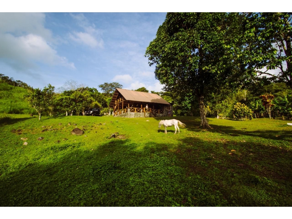 CERRO AZUL / FINCA CON CABAÑA / 52 HECTAREAS / RIO Y CASCADAS - 1