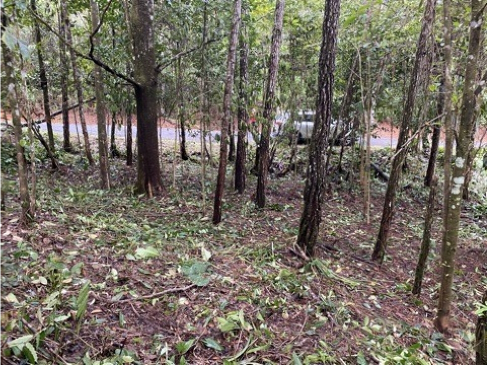 CERRO AZUL / FINCA ALTOS DEL GUARDIAN / 1844 M2 - 2