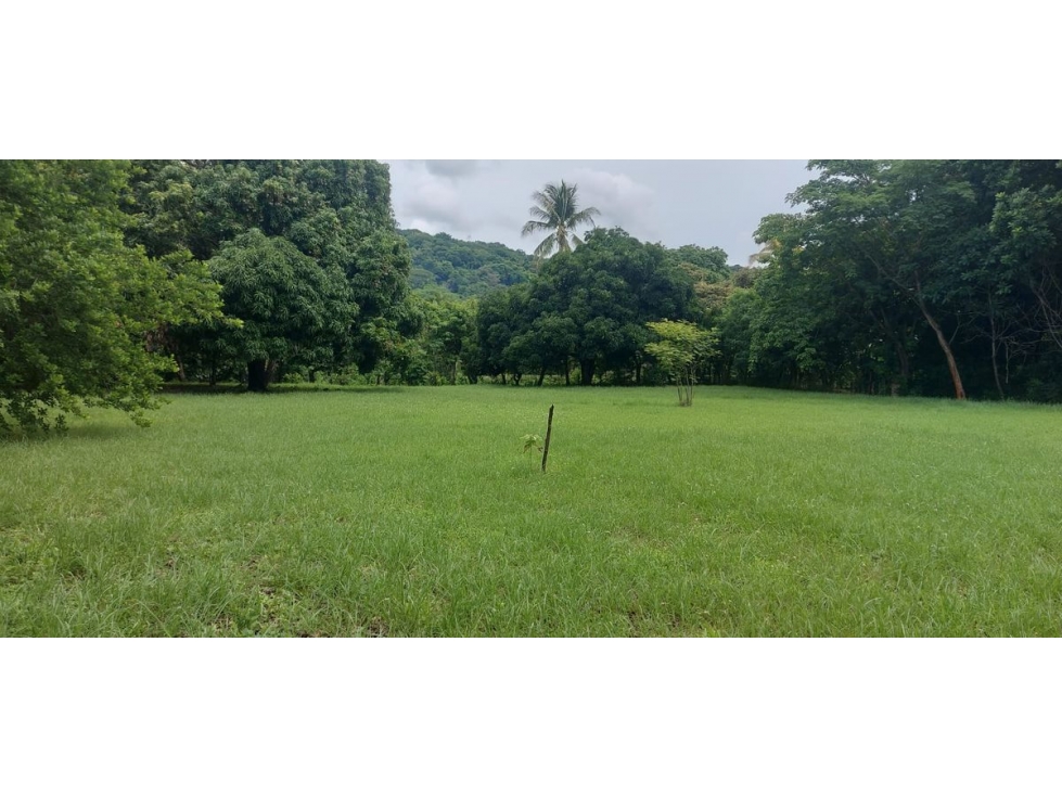 TERRENO / CHAME / EL ESPAVE / 4560 M2 / TOTALMENTE PLANO