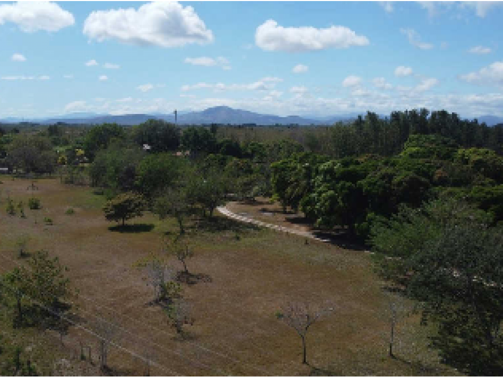 SE VENDE TERRENO COMERCIAL EN PENONOME 13473M SOBRE VIA INTERAMERICANA - 1