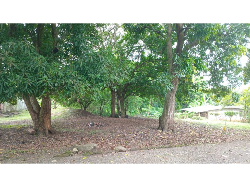 TERRENO / 24 DE DICIEMBRE / CABUYITA / 1800 M2 / ORILLA DE CALLE - 2