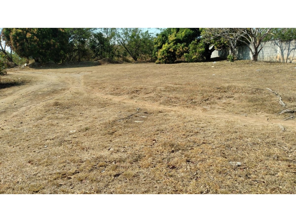 TERRENO / CHAME / GORGONA / 2000M / PLANO /JC