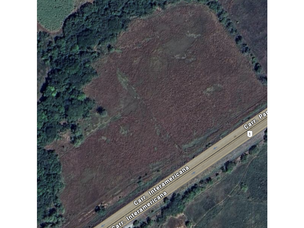 COCLE / NATA / EL ROBLAR / TERRENO 1.6 HECTAREA / SOBRE INTERAMERICANA - 5