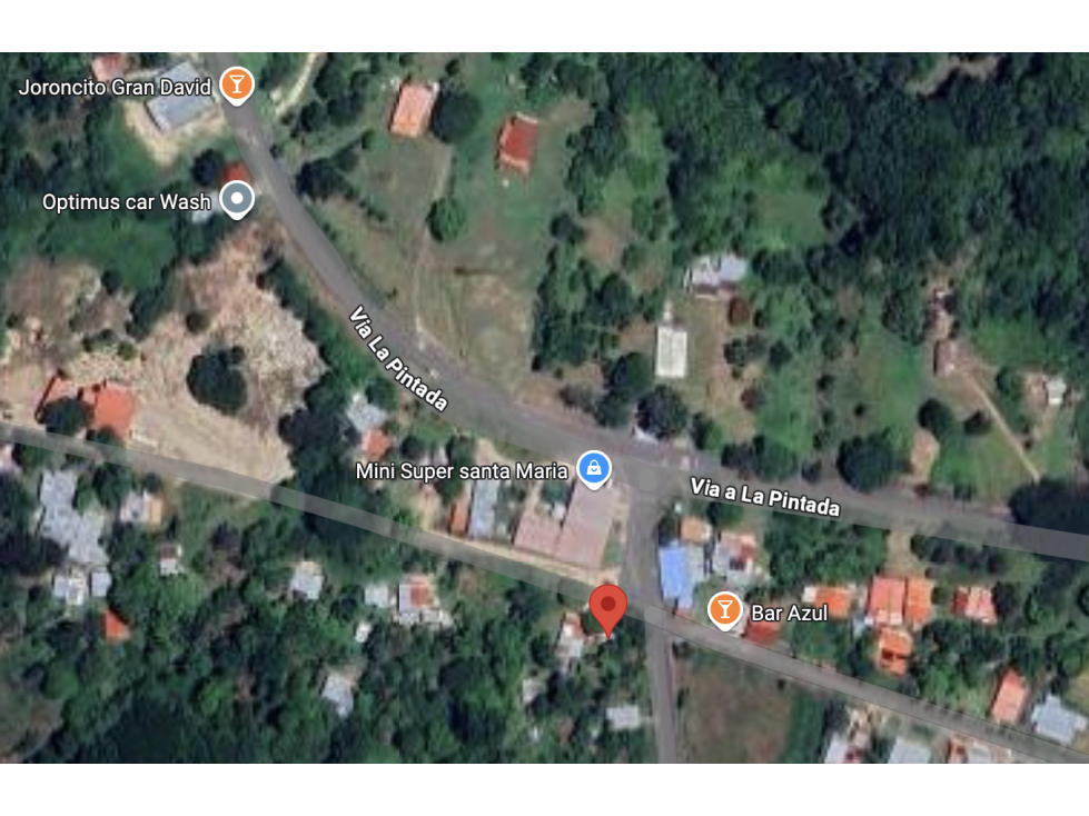 TERRENO / PENONOME / VIA A LA PINTADA / 4,000M / TOTALMENTE PLANO - 3
