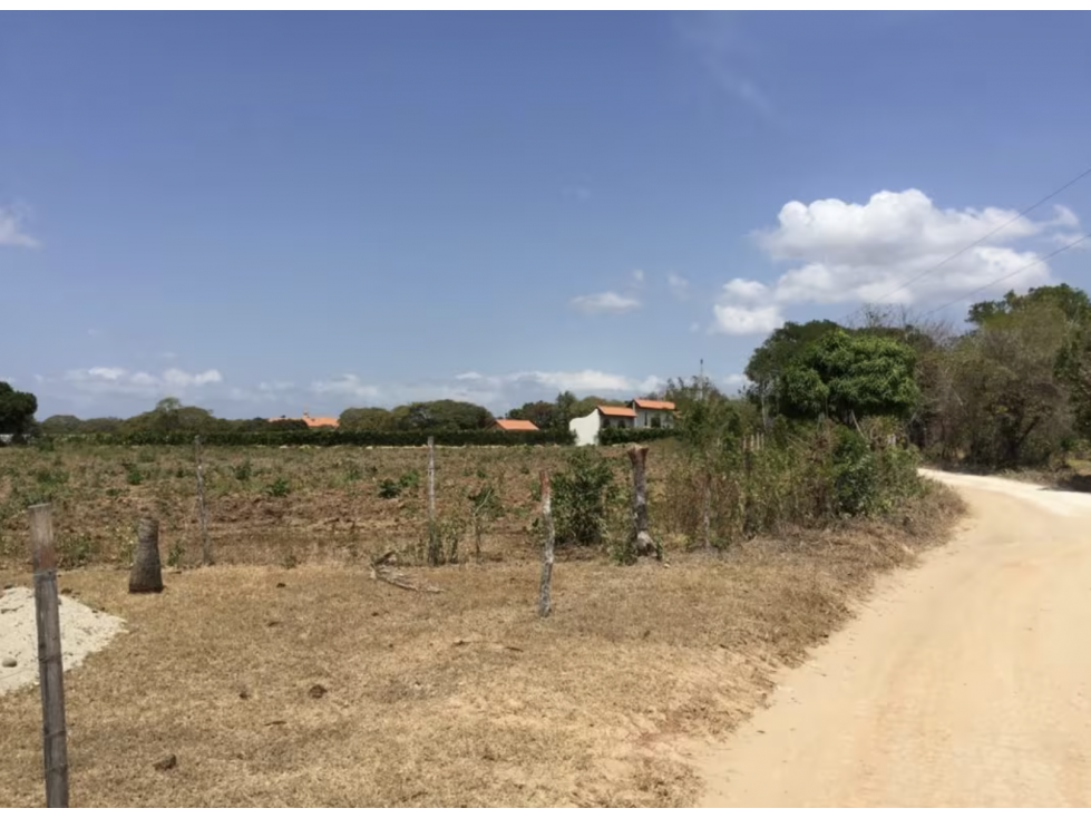 TERRENO / COCLE / RIO HATO / 17,725M / A 300M DE LA PANAMERICANA JC - 1