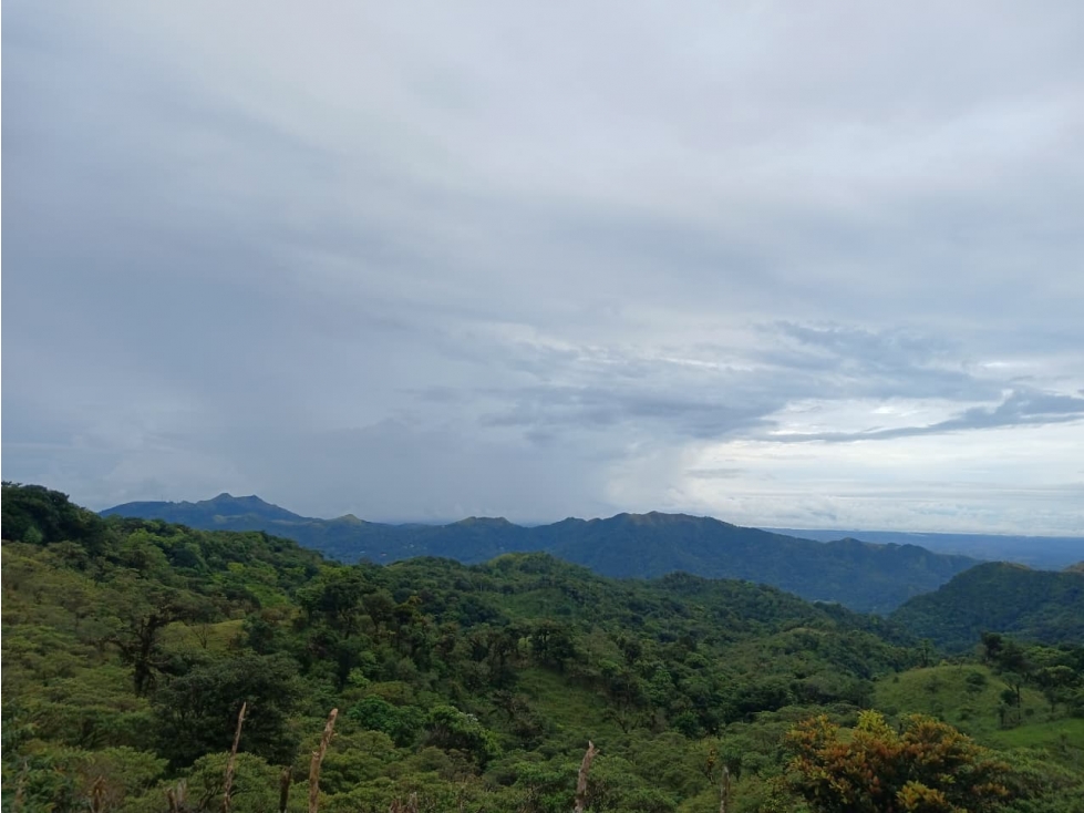 COCLE / EL VALLE DE ANTON / LAS NUBES / 3888M / TERRENO / AG - 1
