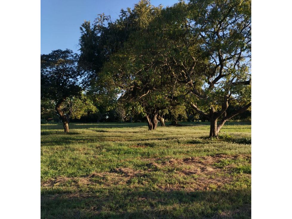 BOULEVARD / CORONADO / FINCA PLANA / 14 HECTÁREAS / 50.00 m2