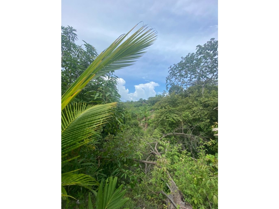 LAS GUIAS / COCLE / 8244 M / CERCA DE PANAMERICANA / PLAYA AG - 4