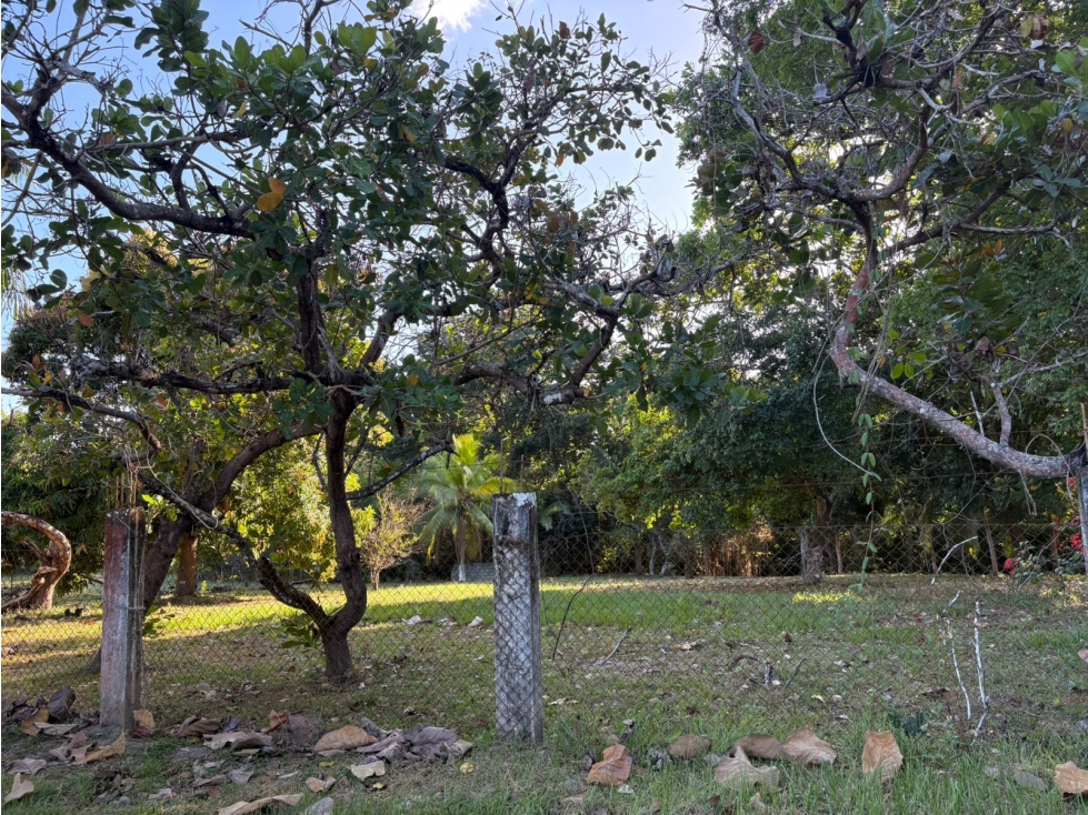 COCLE / SANTA CLARA / TERRENO / 5000 M / SOBRE LA VIA / CERCADO / AG - 1