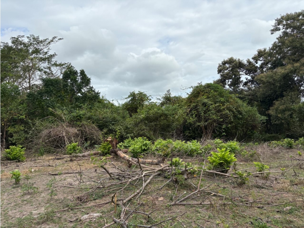 SAN CARLOS / LAS LAGARTIJAS / 250000M / GANADERIA / USO COMERCIAL AG