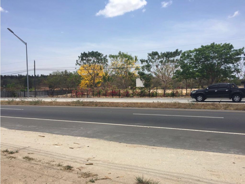 COCLE / SANTA CLARA / 32000M / FRENTE A PANAMERICANA / COMERCIAL / AG - 1