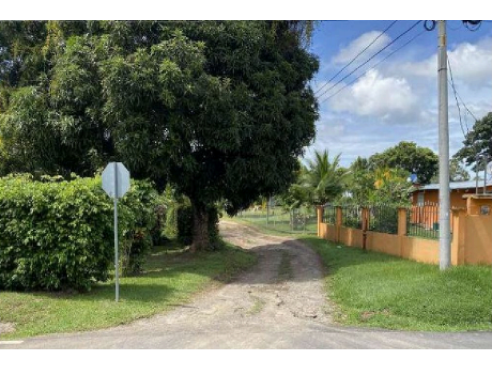 COCLE / LAS GUIAS / 40 HECTAREAS / USO COMERCIAL / SOBRE LA VIA / AG - 1