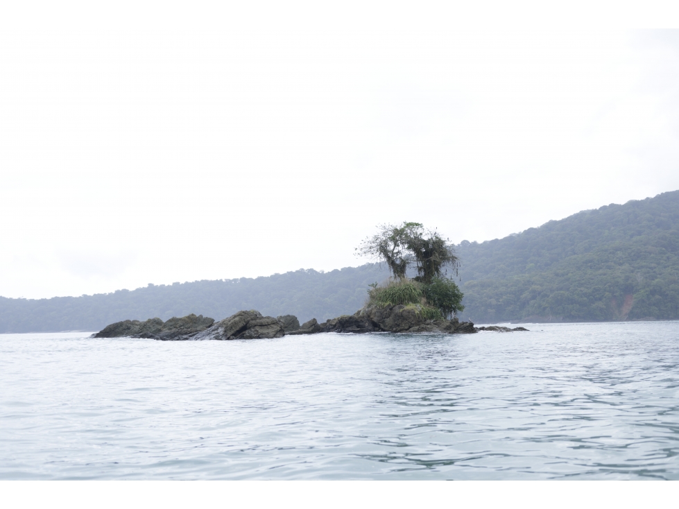 DARIEN / BAHIA PIÑA / 820 HECTAREAS / ISLA TOTALMENTE VIRGEN / AG - 5