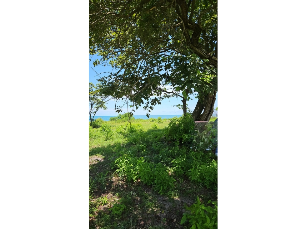 NUEVA GORGONA / MALIBU / 1000M / FRENTE AL MAR / AG — foto 3